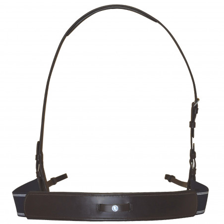 Elastische hulpteugel Canter