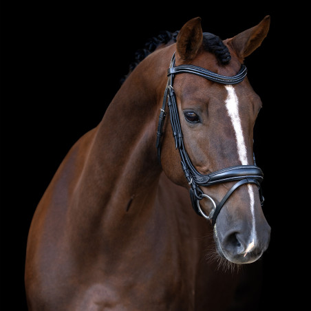 Hoofdstel Imperial Riding met gebogen Engels neusriem