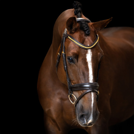 Eenvoudig gecombineerde Imperial Riding hoofdstel
