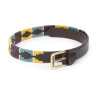 Shires Drover Skinny Polo Riem - Geel / groen / paars