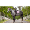 Eurojump LeMieux Essence Square zadeldekje - Fondant