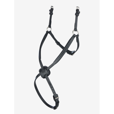 Neusriem LeMieux Arika Grackle