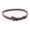 Neusriem LeMieux Kudos - Bruin