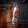 Hunter Shires Velociti Rapida kaptoomhoofdstel - Zwart