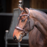 Hoofdstel met gevoerde neusriem Elite Shires Velociti Lusso - Havana