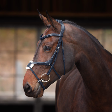 Hoofdstel met Mexicaanse neusriem Elite Shires Velociti Lusso