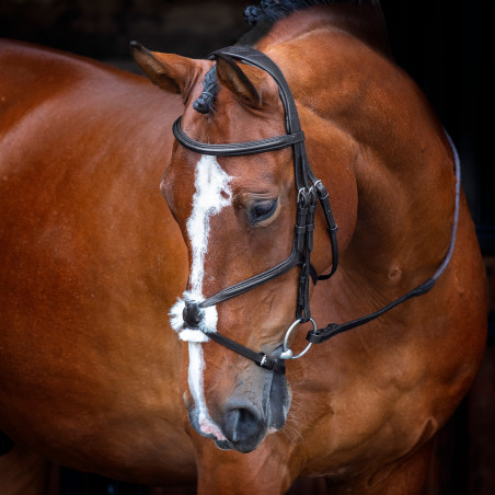 Shires Velociti Rapida hoofdstel met Mexicaanse neusriem