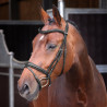 Hoofdstel met opgehoogde, gevoerde Franse neusriem Elite Shires Velociti Lusso - Zwart