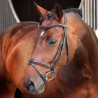 Hoofdstel met opgehoogde, gevoerde Franse neusriem Elite Shires Velociti Lusso - Havana