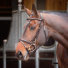 Shires Velociti Rapida trainingshoofdstel - Havana