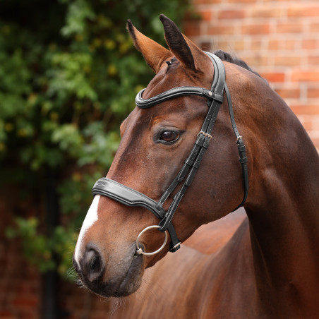 Dressuurhoofdstel met neusriem Opus 180M Shires Velociti Lusso