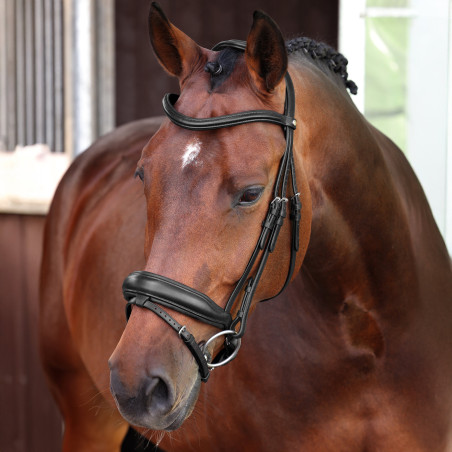 Dressuurhoofdstel met Engelse neusriem Elite Shires Velociti Lusso