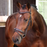 Dressuurhoofdstel met Engelse neusriem Elite Shires Velociti Lusso - Havana