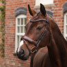 Dressuurhoofdstel met Frans neusriem Opus 180M Shires Velociti Lusso - Havana