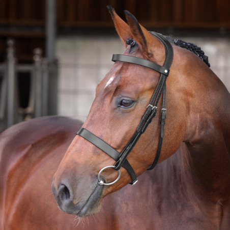 Hoofdstel Hunter Elite Shires Velociti Lusso