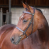 Hoofdstel Hunter Elite Shires Velociti Lusso - Havana