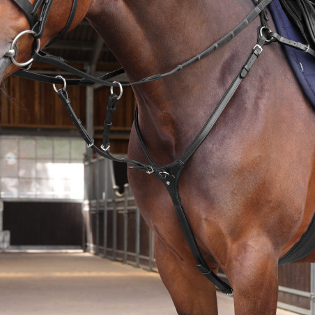 Elite Shires Velociti Lusso dicht contact borsttuig