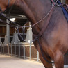 Elastische borsttuig Elite Shires Velociti Lusso - Havana