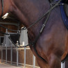 Borsttuig Elite Shires Velociti Lusso - Zwart