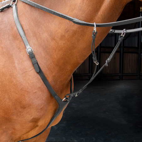 Shires Velociti Rapida borsttuig