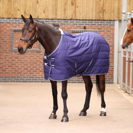 Staldeken Original 100 Shires Tempest
