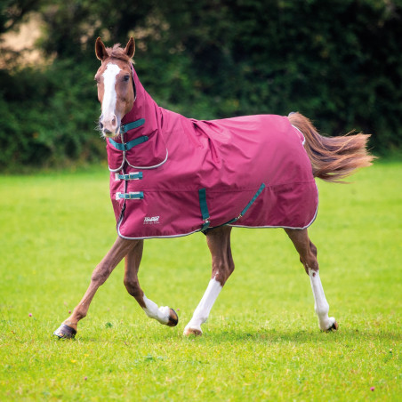 Shires Tempest Original 200 volledige outdoor deken