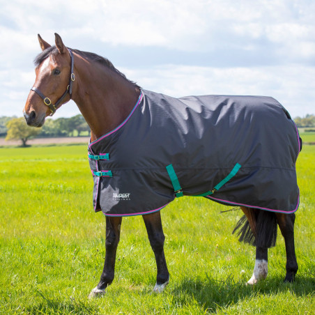 Buitendeken Original 300 Shires Tempest