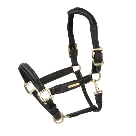 Lederen halster Comfort Shires Velociti Rapida