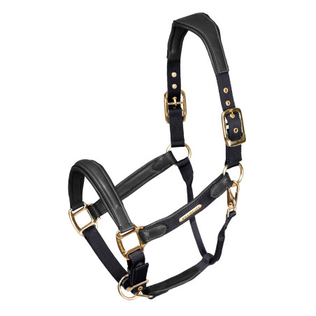 Shires Velociti Lusso gevoerd lederen halster