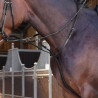 Shires Velociti Lusso Elite ringmartingaal - Zwart