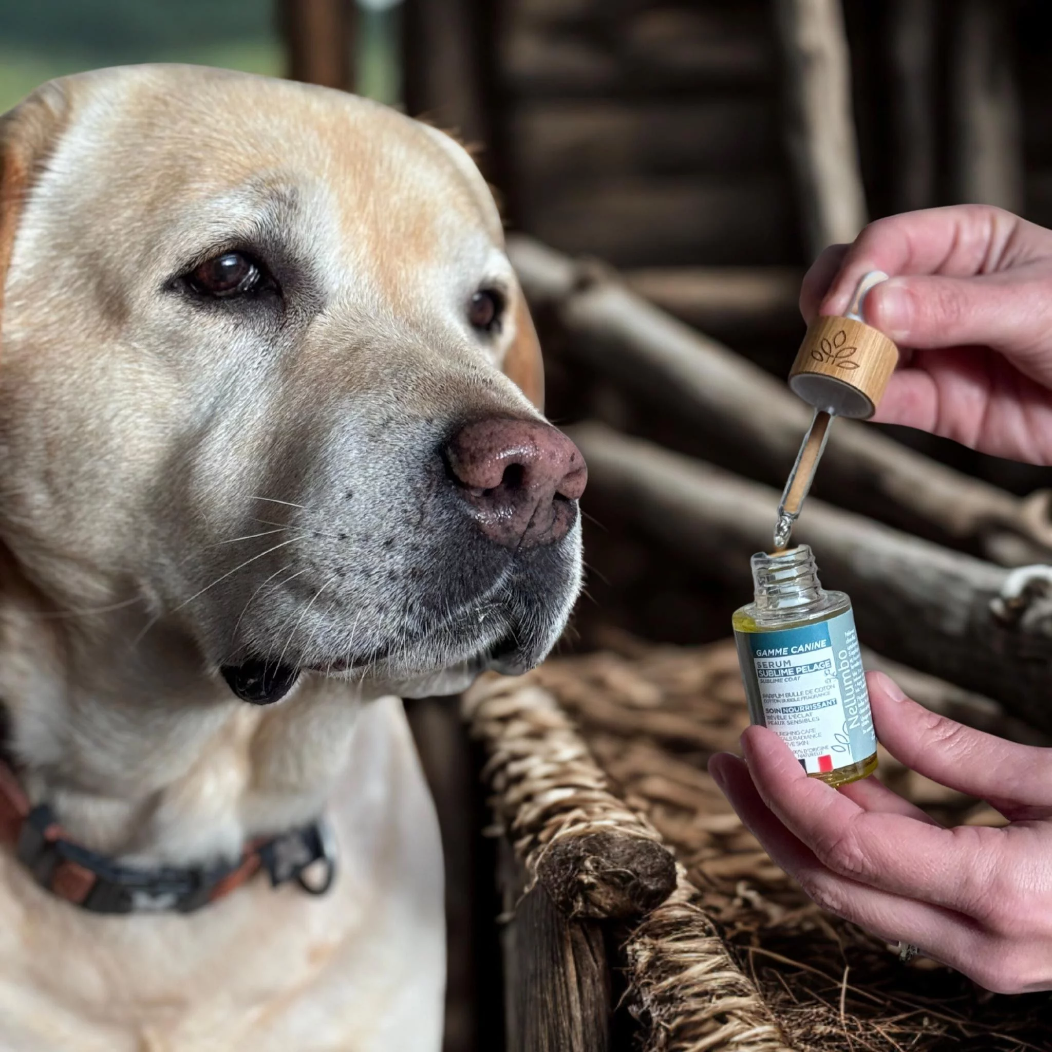 Sérum Sublime Vacht Bulle de Coton Nellumbo honden en katten