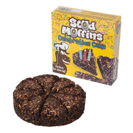 Celebration Cake Stud Muffins