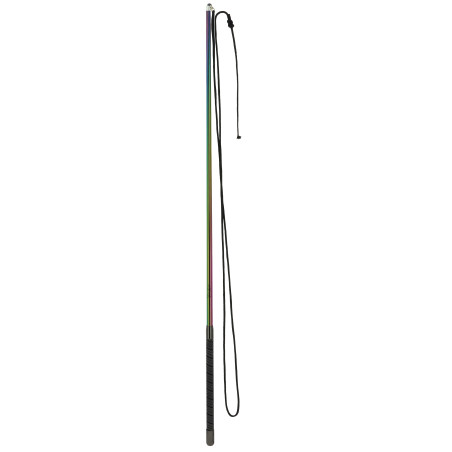 Uitschuifbare longeerzweep Whip & Go Hologram