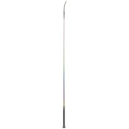 Dressuurzweep Whip & Go Hologram