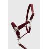 Halter en leadrope Harcour Cinsy - Wingerd