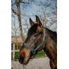 Halster Norton Dream - Donkergroen