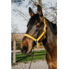 Halster Norton Dream - Geel