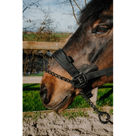 Halster Equithème Control