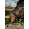 Halster Equithème Control - Zwart