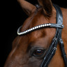 Frontal Imperial Riding Maxima - Grafiet
