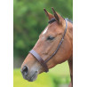 Cavezzo Hunter Shires Velociti Gara - Bruin