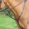 Borsttuig Hunt Weight Shires Velociti Gara - Bruin