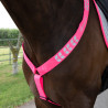 Shires Equi-Flector® borsttuig - Felroze