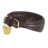 Gewatteerde halsband voor windhond Shires Digby & Fox - Bruin