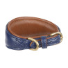 Gewatteerde halsband voor windhond Shires Digby & Fox - Marine