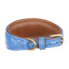 Gewatteerde halsband voor windhond Shires Digby & Fox - Koninklijk
