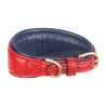 Gewatteerde halsband voor windhond Shires Digby & Fox - Scharlaken