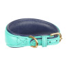Gewatteerde halsband voor windhond Shires Digby & Fox - Smaragdgroen
