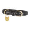 Shires Digby & Fox gewatteerde leren hondenhalsband - Zwart