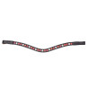 Shires Velociti Gara frontriem in drie tinten - Zwart / rood